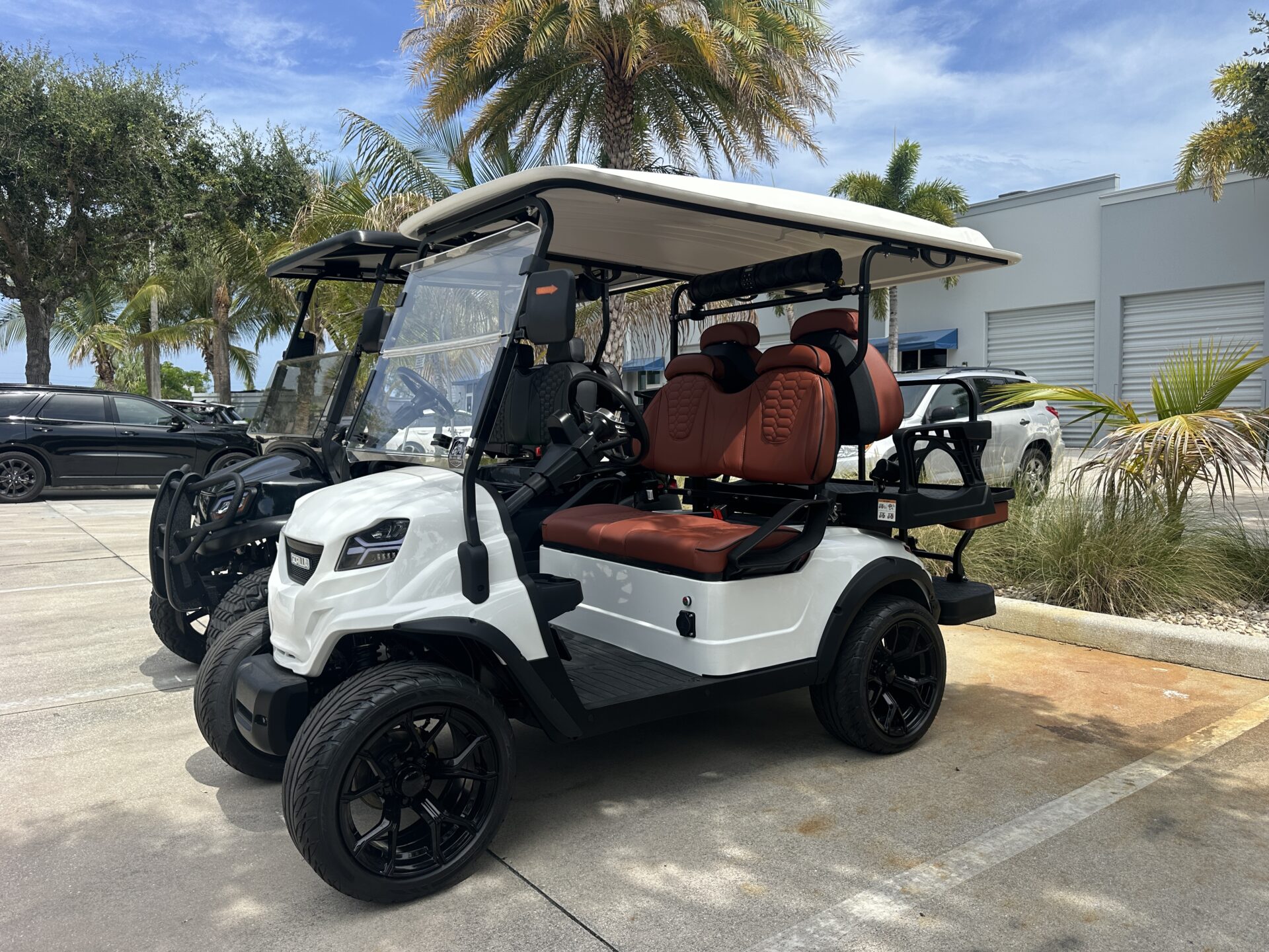 2025 Gorilla Rides EV G4 Li
