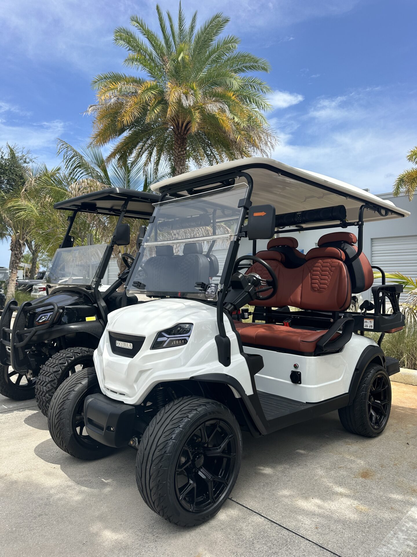 2025 Gorilla Rides EV G4 Li