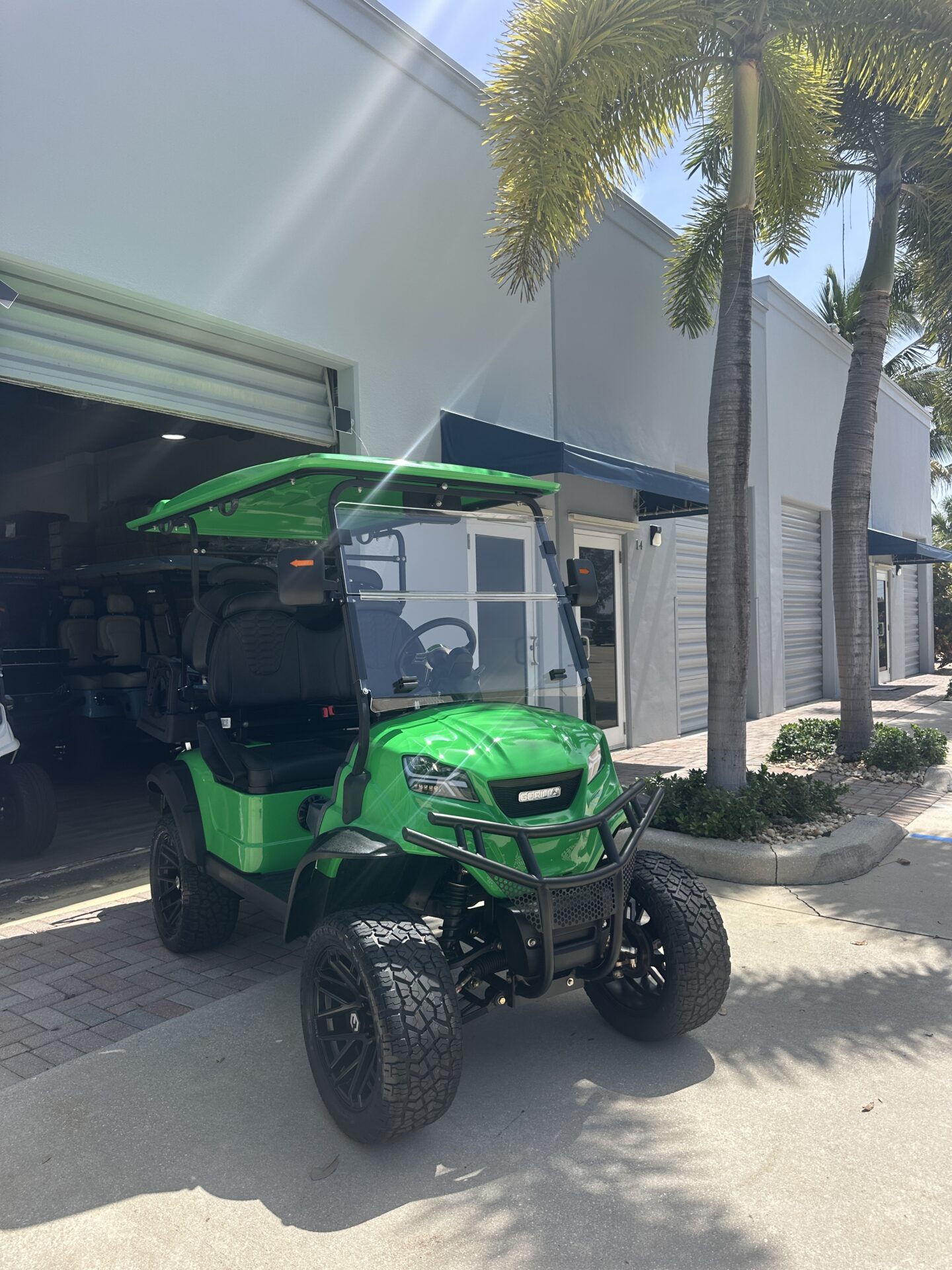 2025 Gorilla Rides EV G4L Li