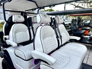 2026 Venom EV Strike Model